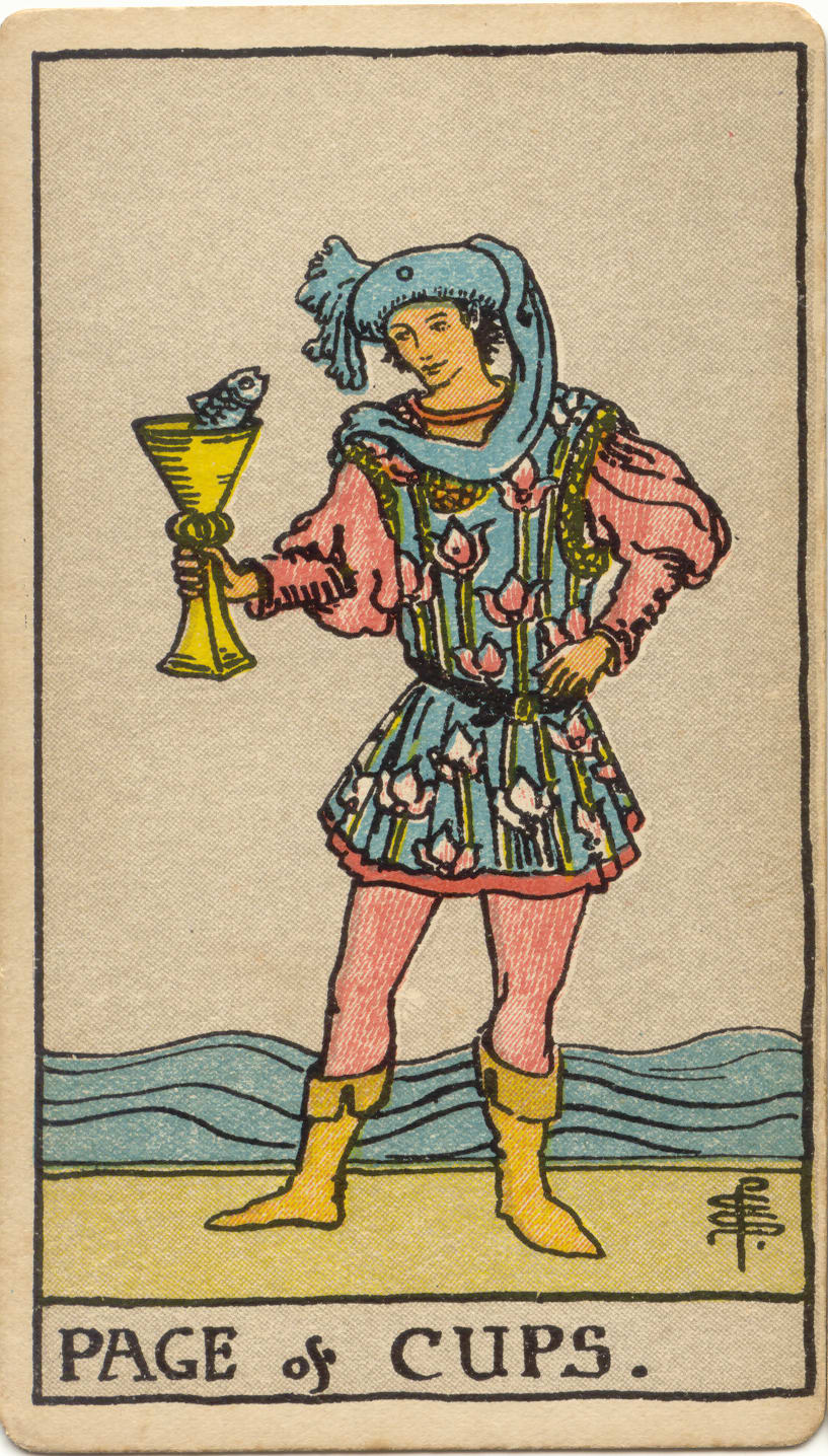 聖杯侍者 Page of Cups