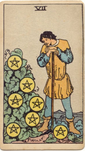 錢幣七 Seven of Pentacles