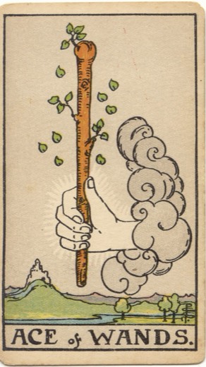 權杖一 Ace of Wands