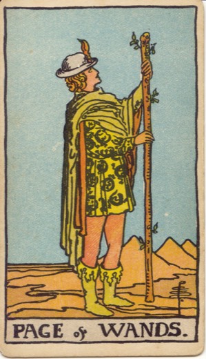 權杖侍者 Page of Wands