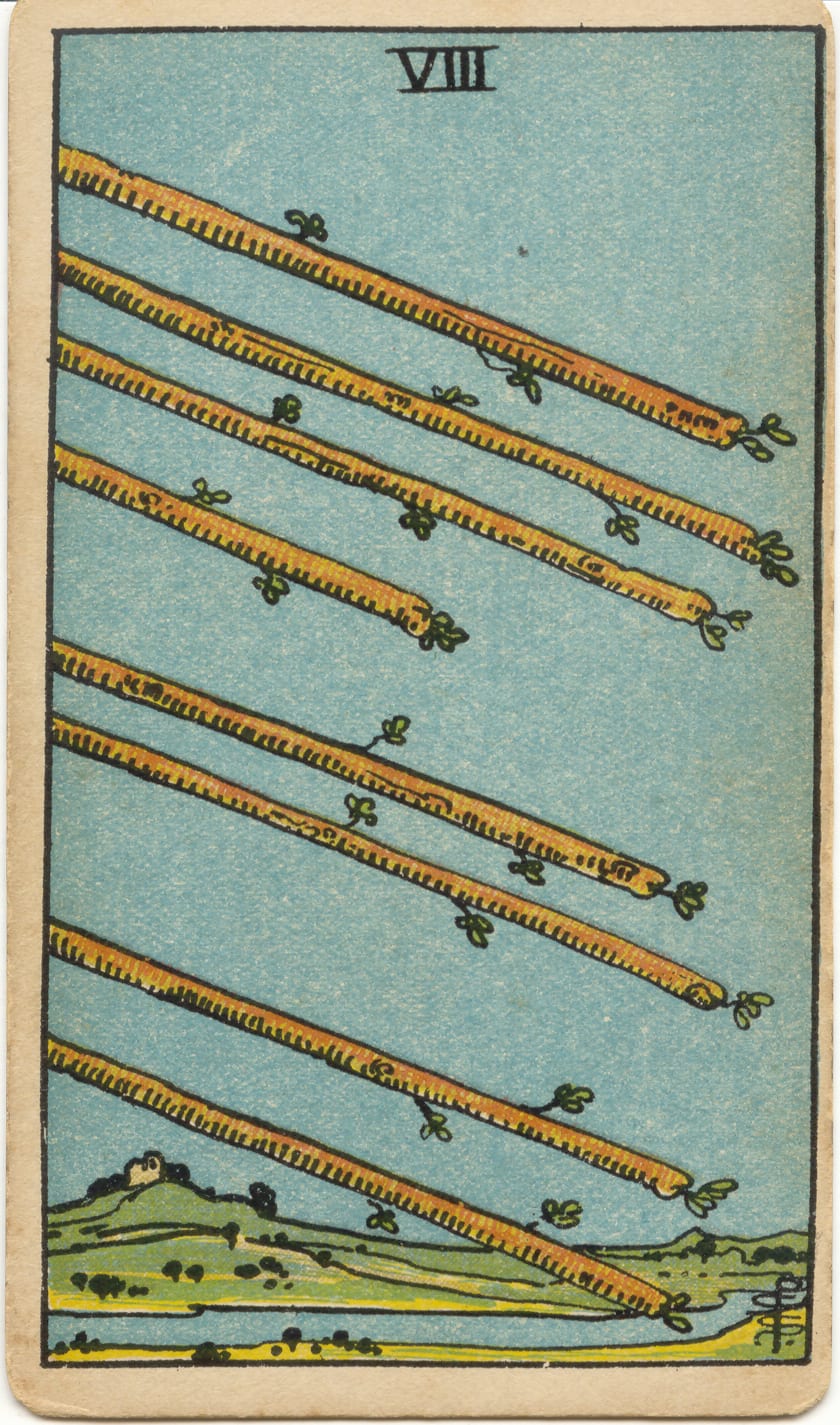 權杖八 Eight of Wands